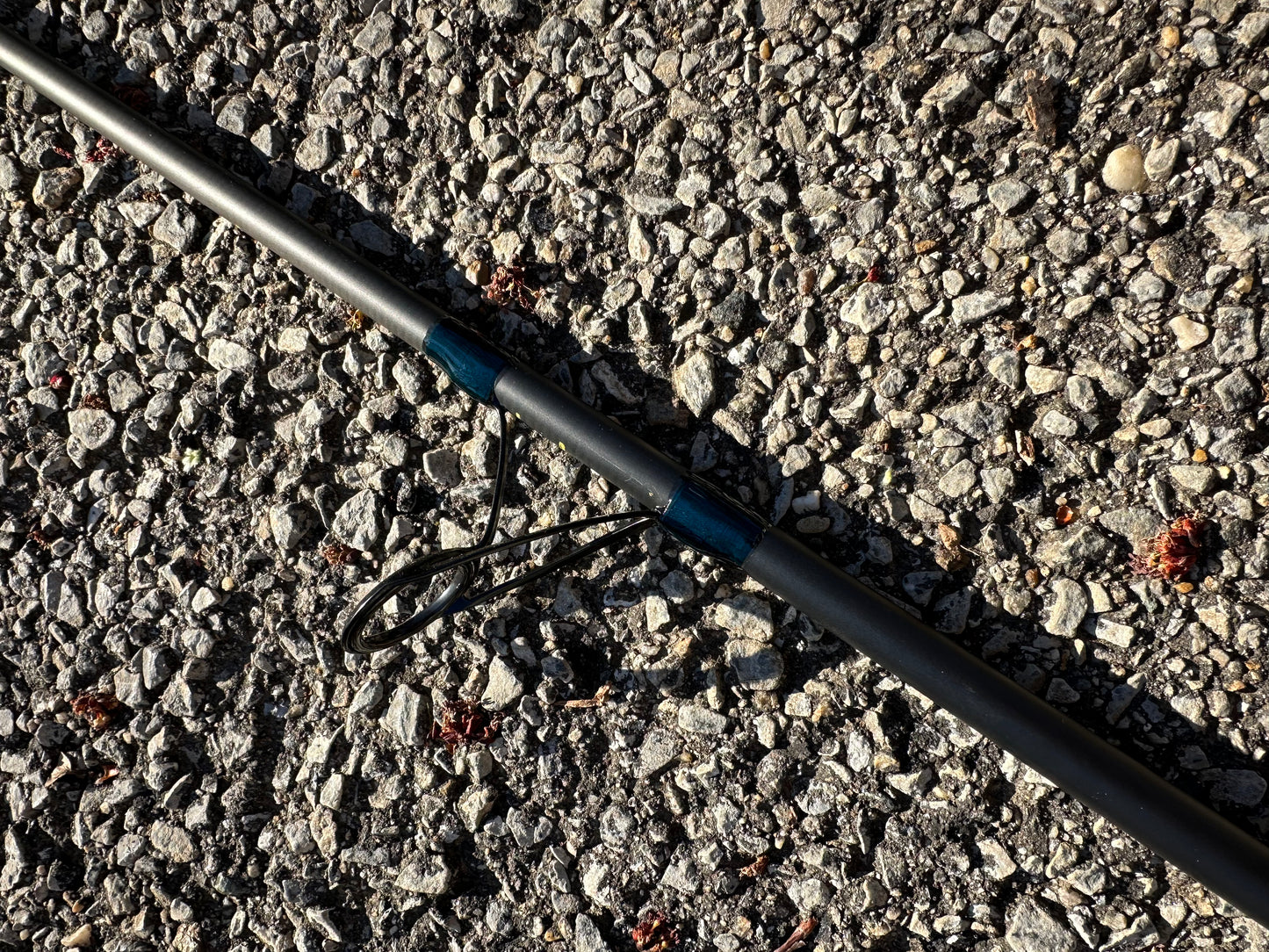 Cobia Sightcaster